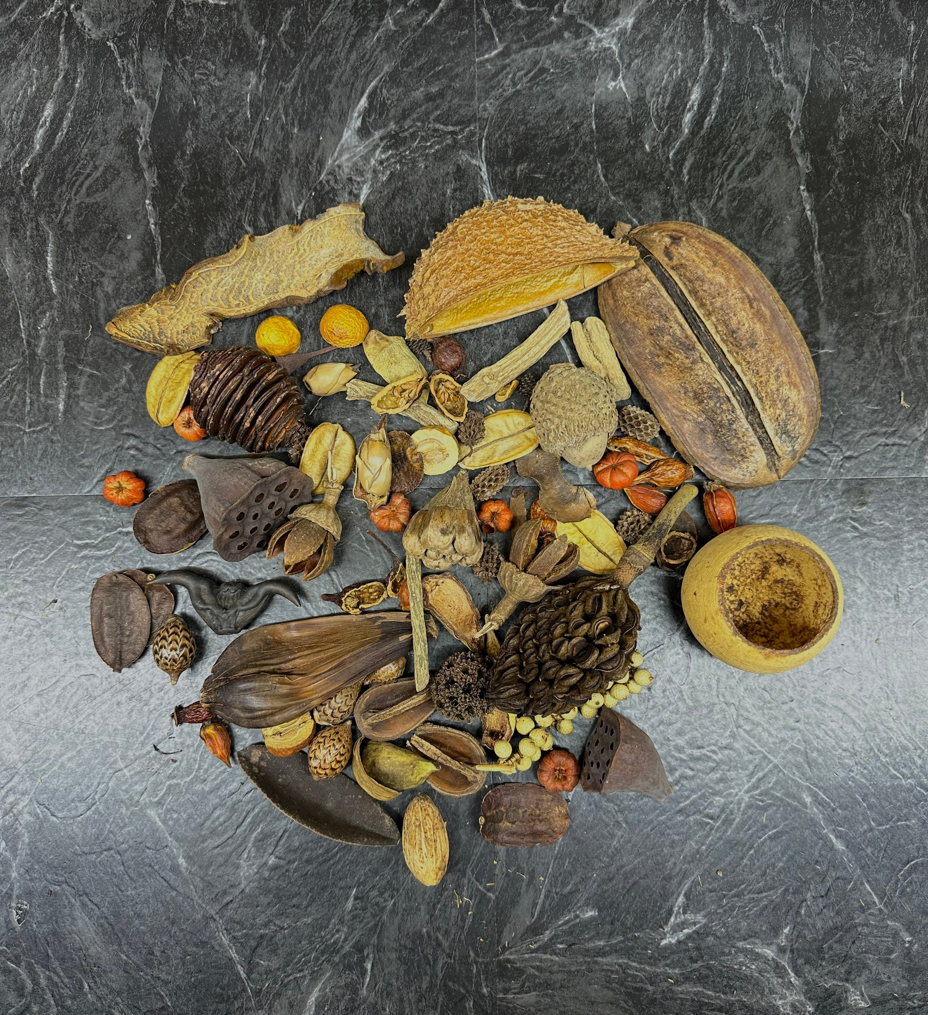 Botanical Bounty Bag - Botanical Variety Pack