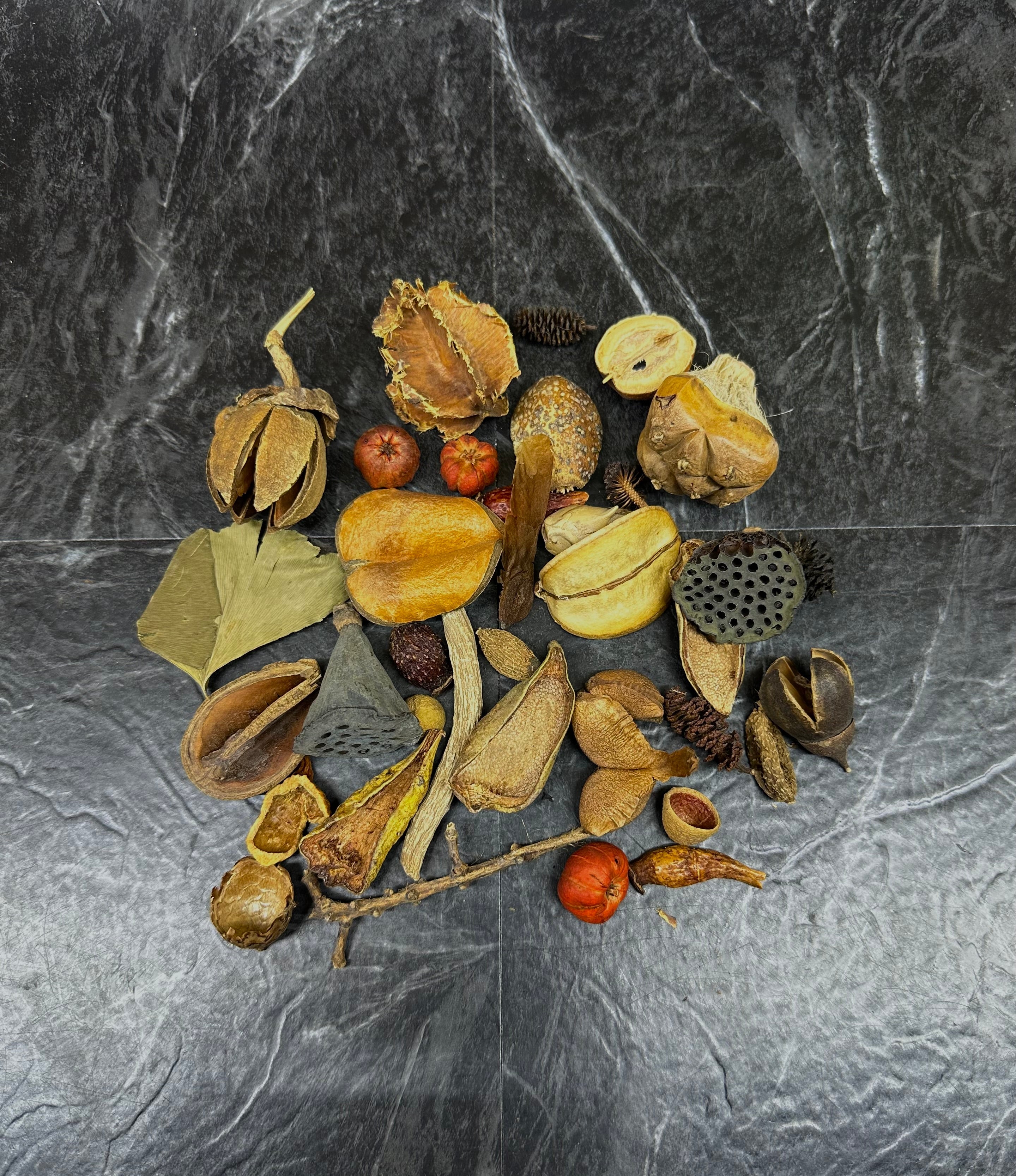 Botanical Bounty Bag - Botanical Variety Pack