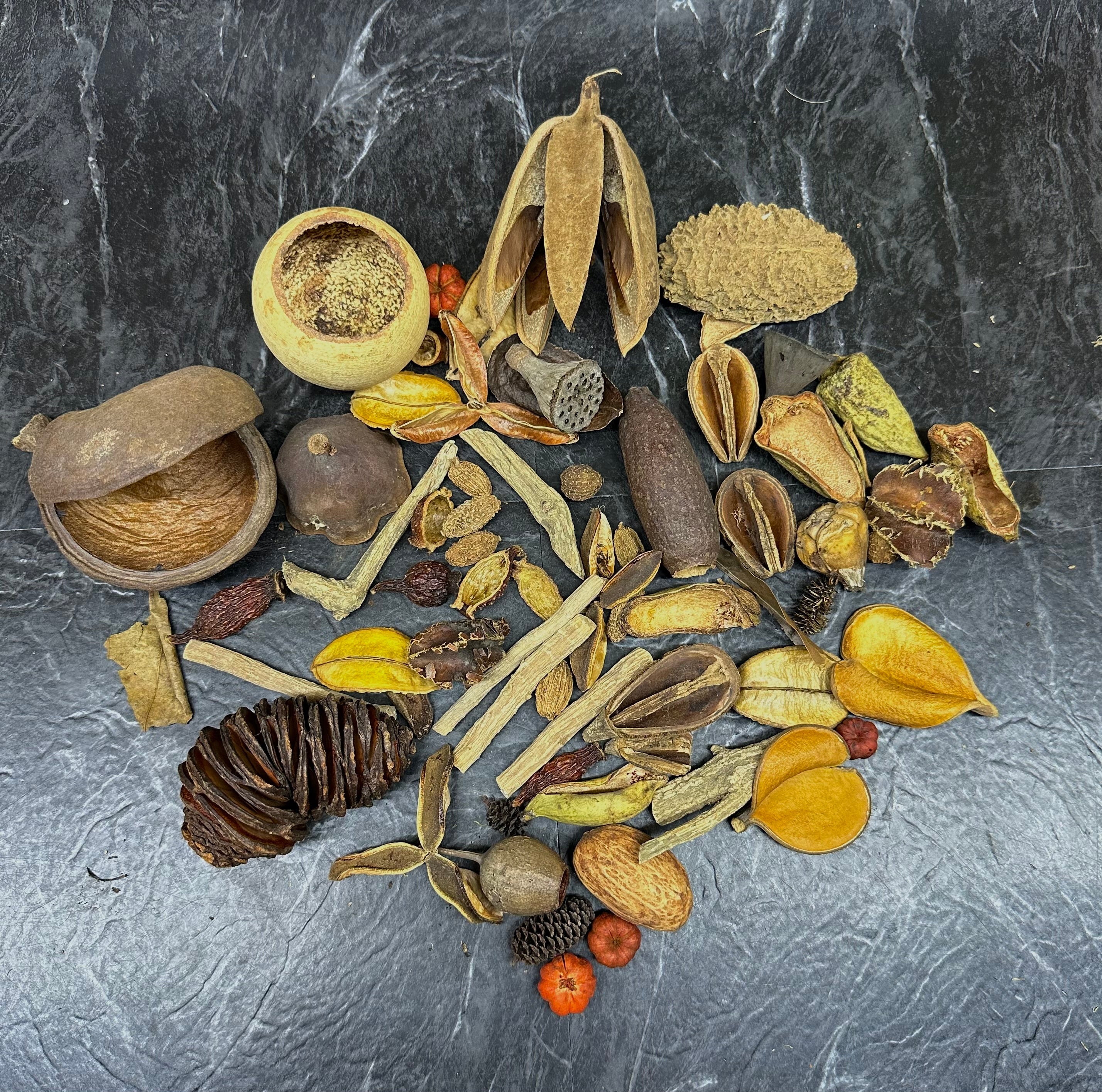 Botanical Bounty Bag - Botanical Variety Pack