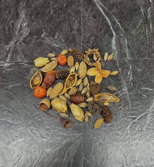 Botanical Bounty Bag - Botanical Variety Pack