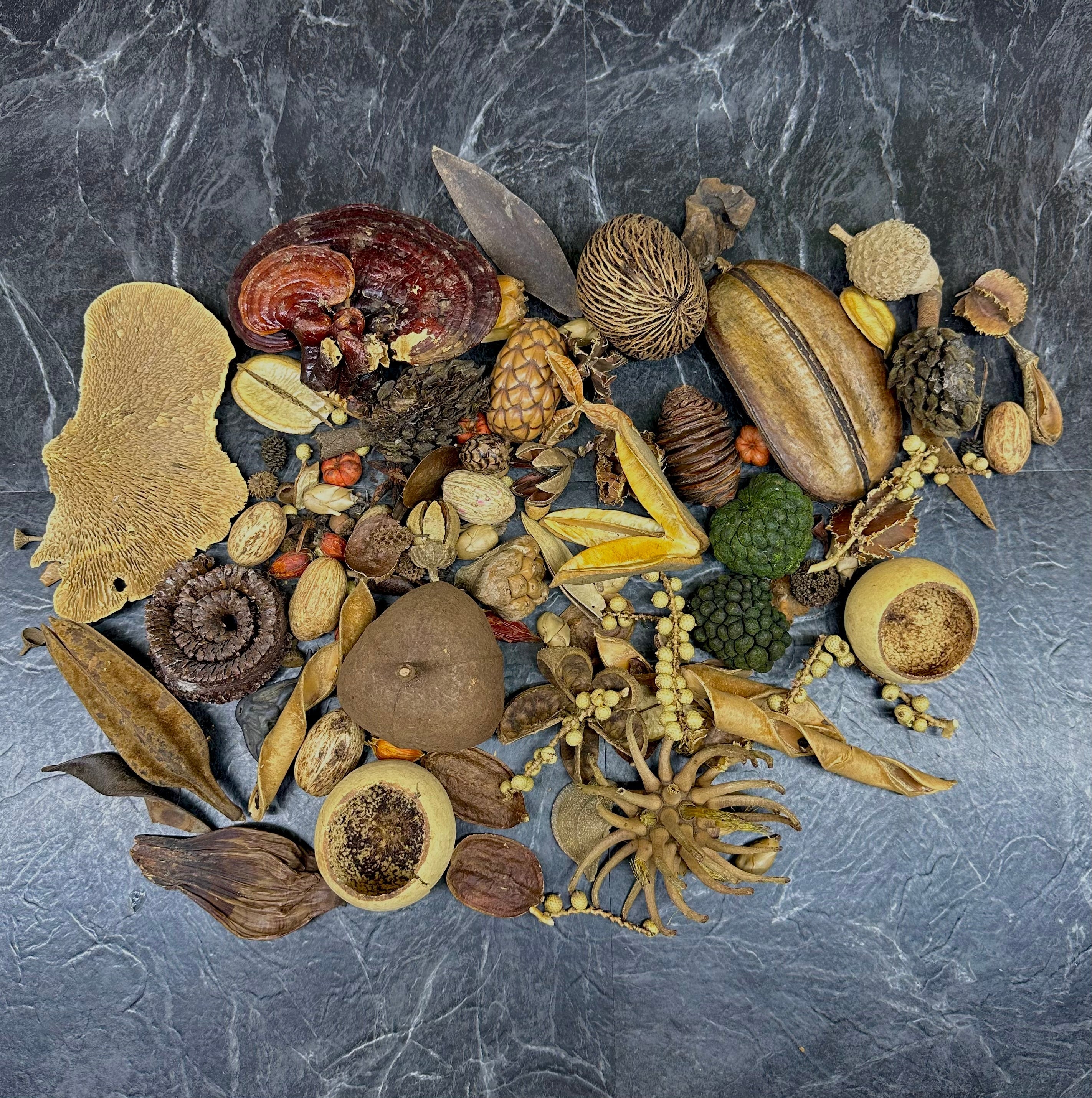 Botanical Bounty Bag - Botanical Variety Pack