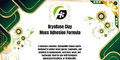 BryoBase - Moss Adhesion Layer