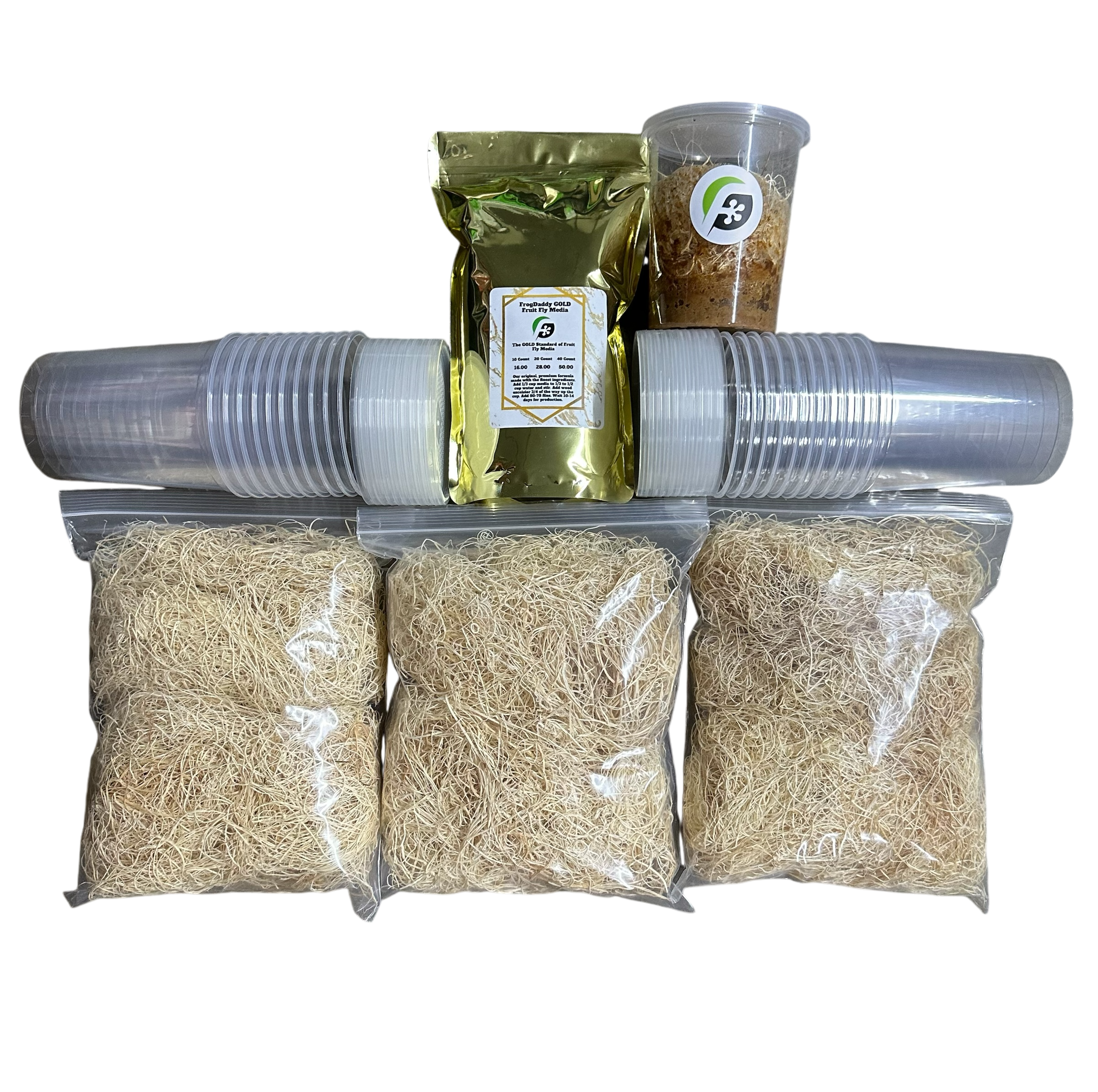 FrogDaddy Complete GOLD Fruit Fly Culturing Kit