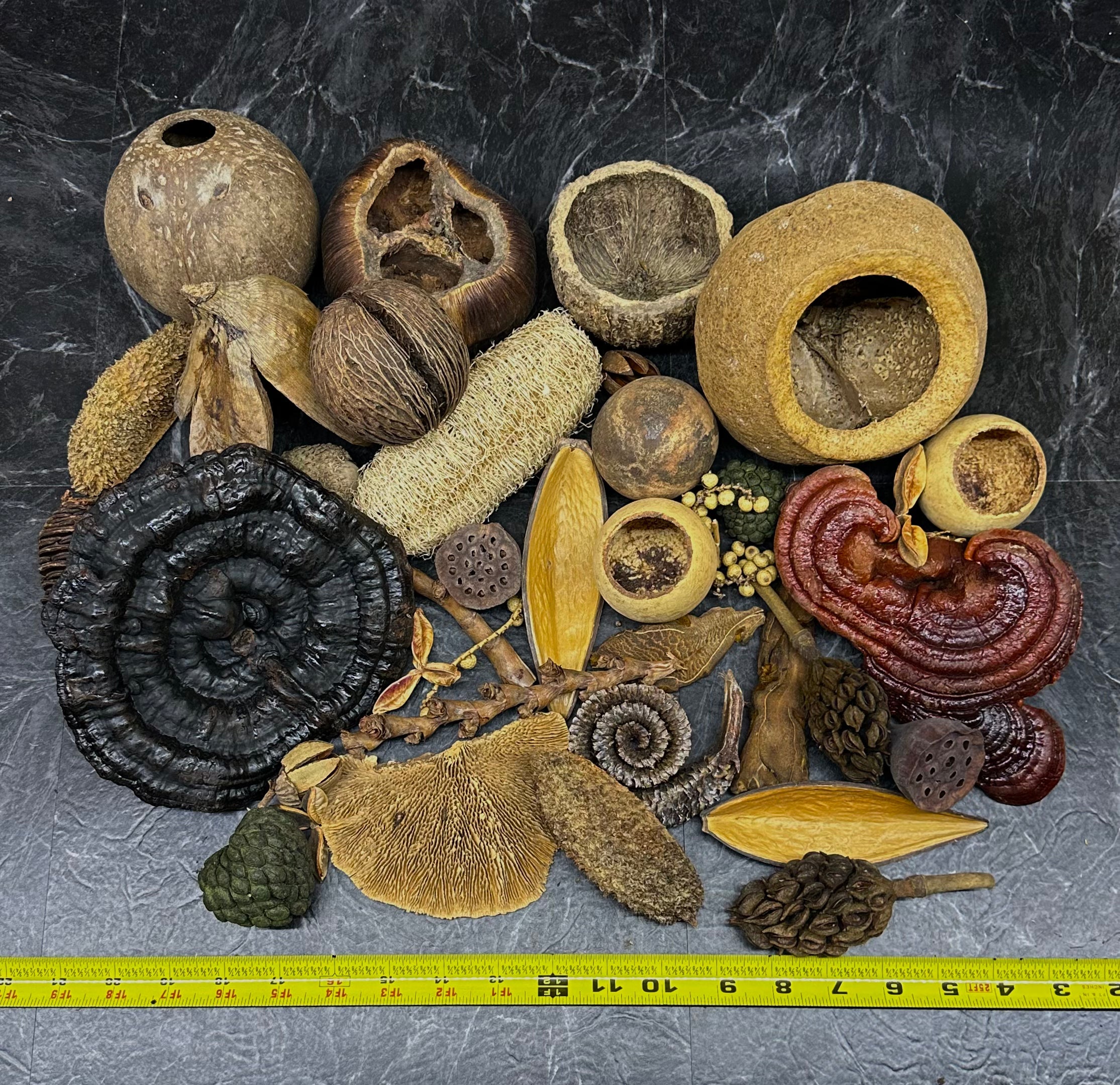 Botanical Bounty Bag - Botanical Variety Pack