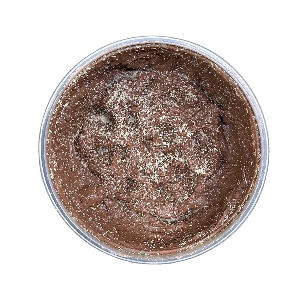 Springtails - Temperate - Springtail Crimson Calcium Clay - Deep Dish - (Folsomia candida)