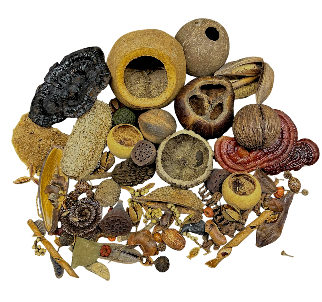 Botanical Bounty Bag - Botanical Variety Pack