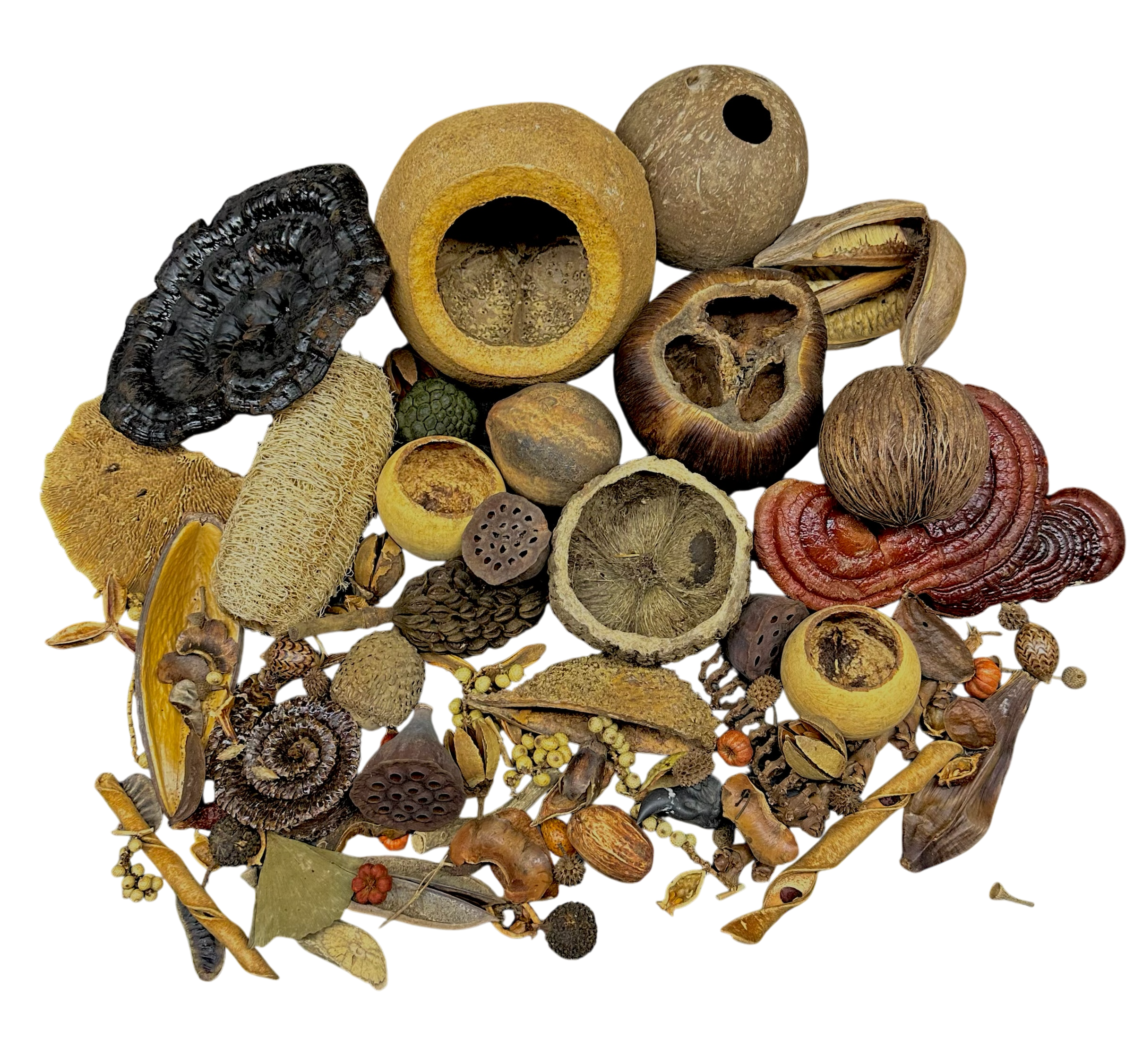 Botanical Bounty Bag - Botanical Variety Pack
