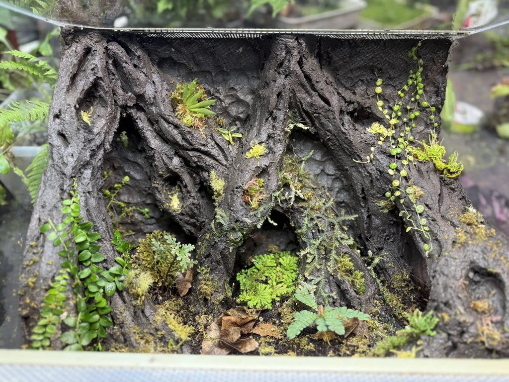 GeoGrow Builder Bundle - Clay Hardscape Background Kit