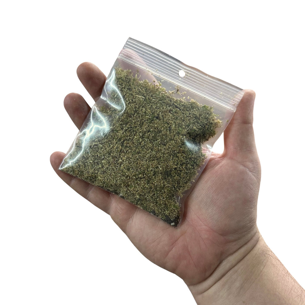 WHOLESALE - BryoSpore Premium Dry Moss Mix - Shelf Stable Moss Inoculant