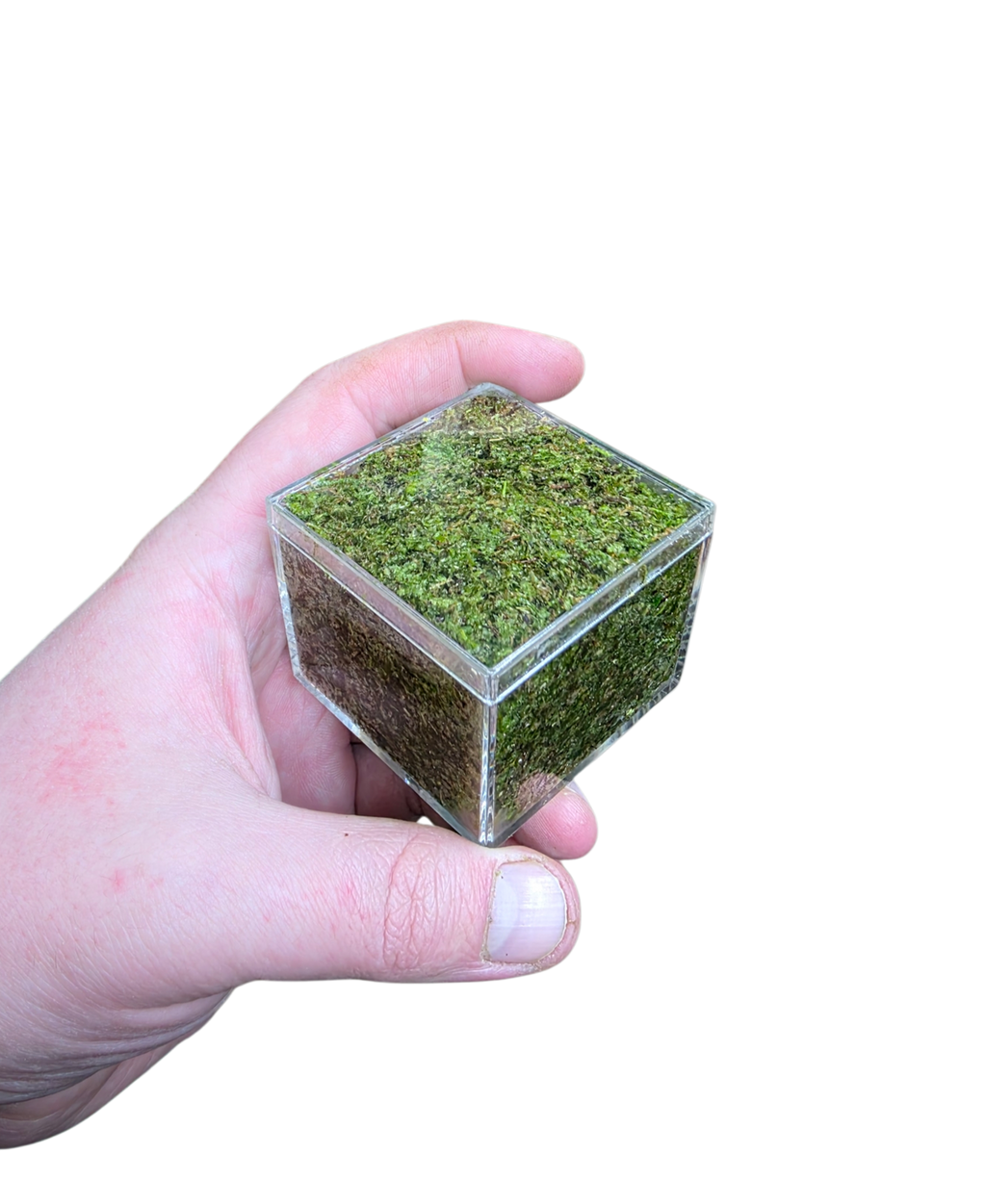 WHOLESALE - BryoBrick Premium Compressed Moss Mix