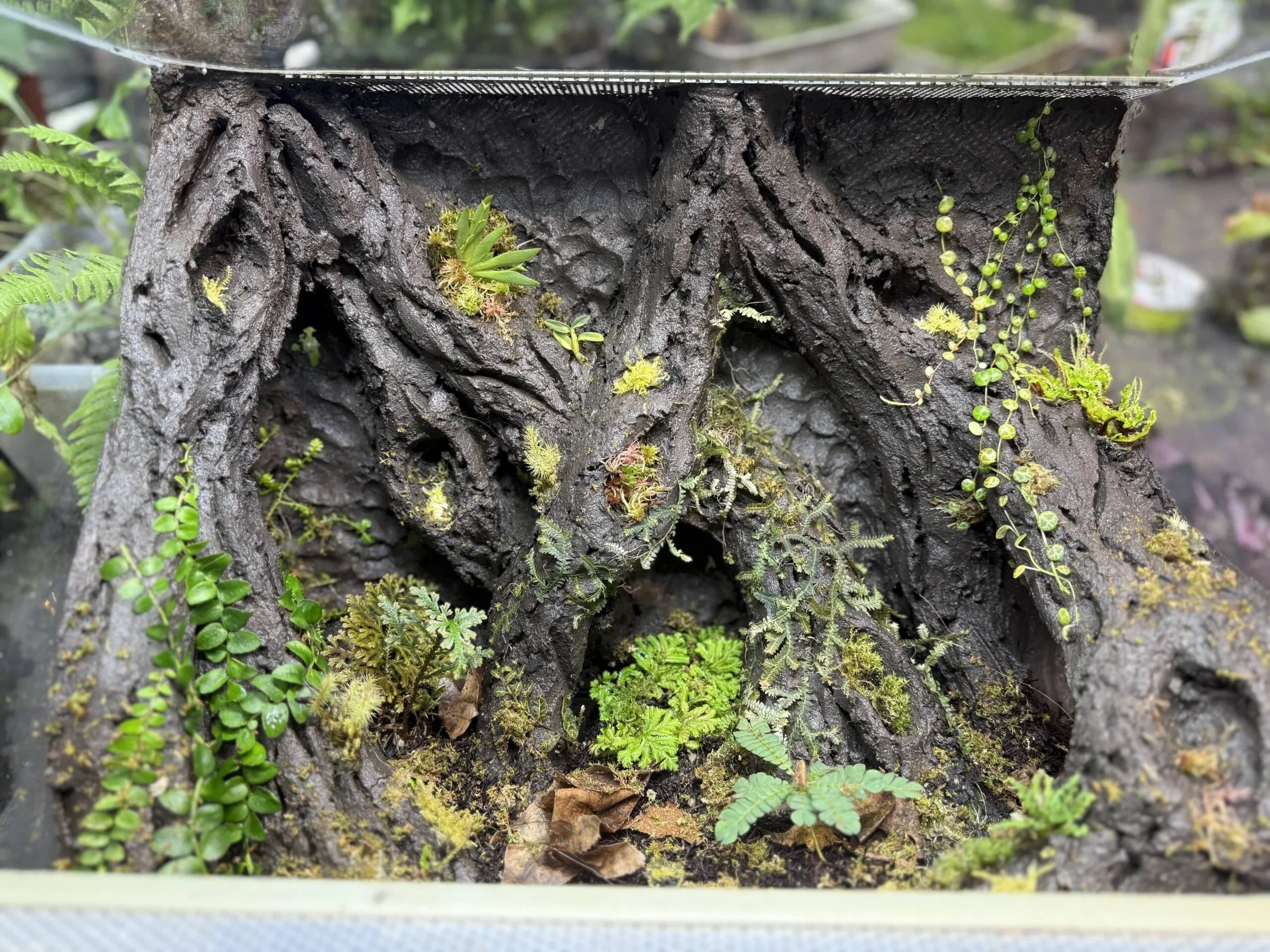 ShroomRoom TropicalClay - Hydrated Quick-Structure Terrarium Scaping Clay