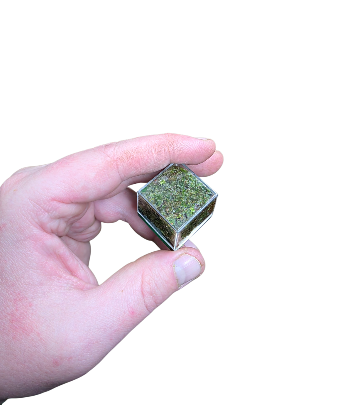 WHOLESALE - BryoBrick Premium Compressed Moss Mix