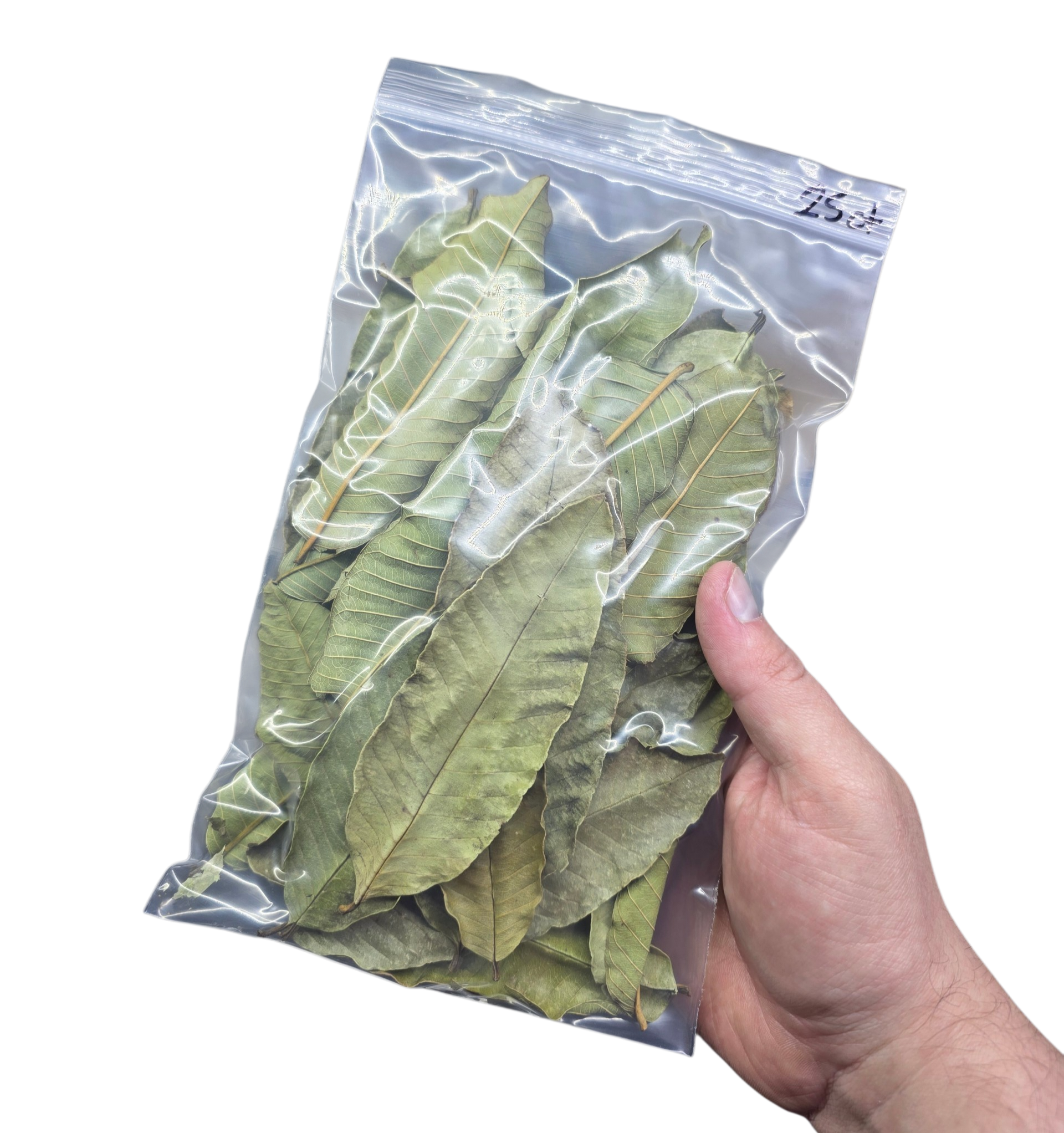 Tropical Leaf Litter - Guava Leaves