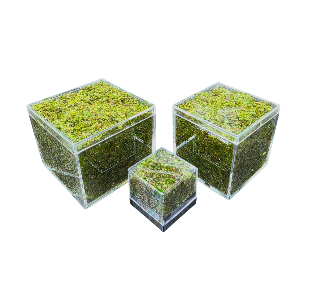 BryoBrick - Premium Compressed Moss Mix
