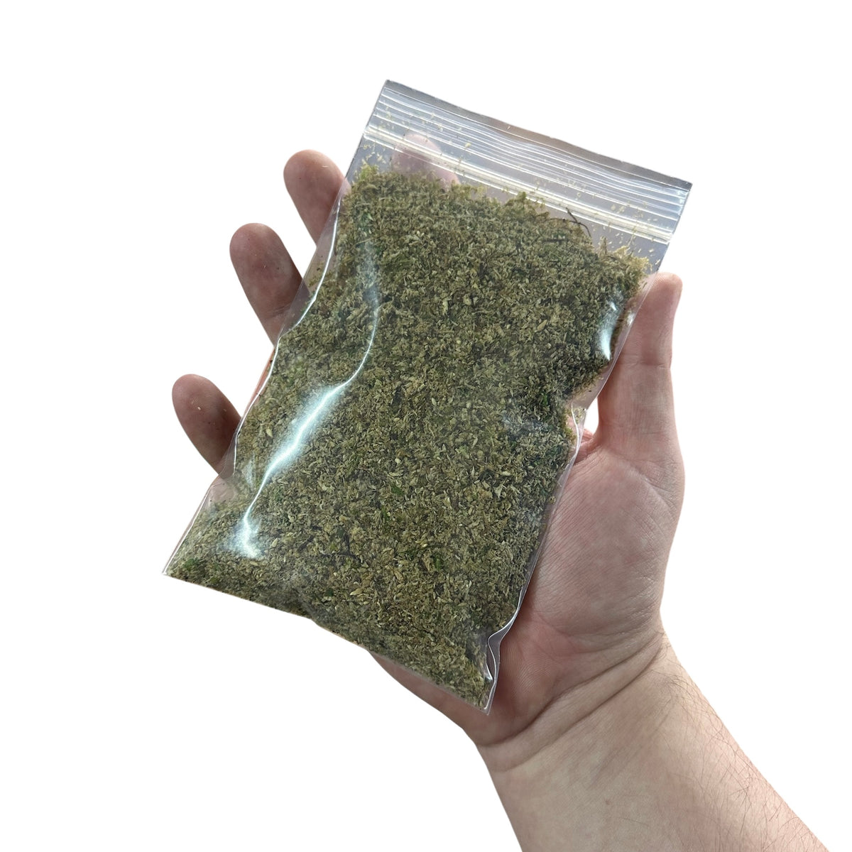 WHOLESALE - BryoSpore Premium Dry Moss Mix - Shelf Stable Moss Inoculant