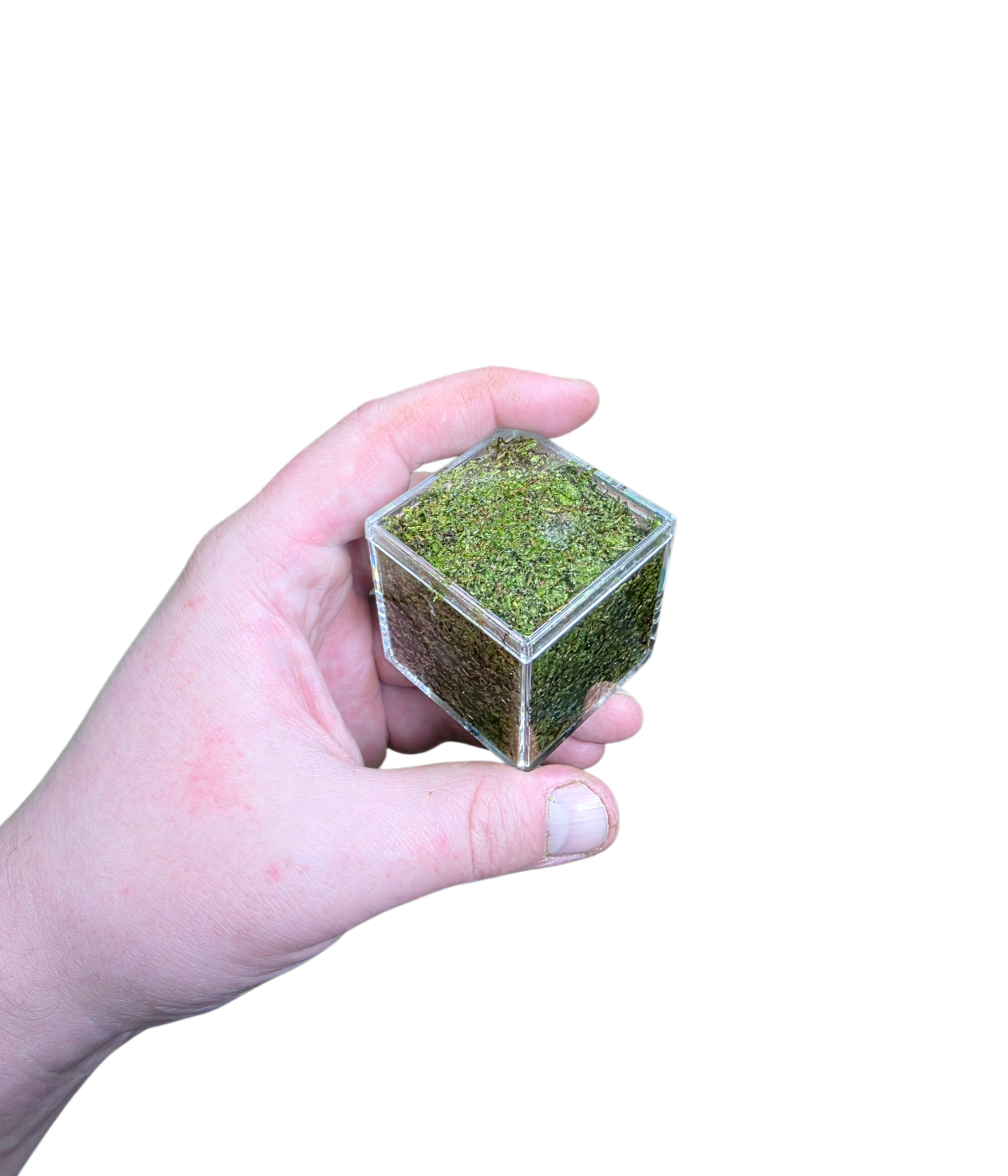 BryoBrick - Premium Compressed Moss Mix