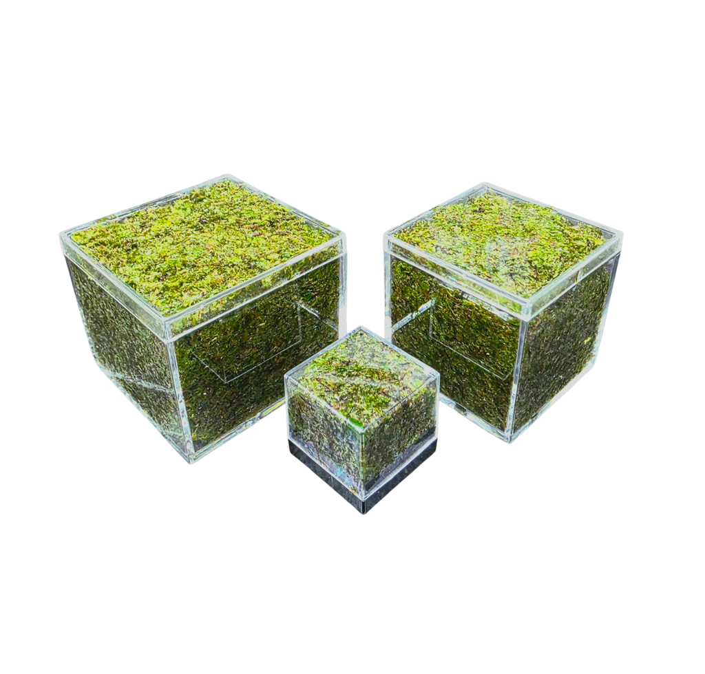 WHOLESALE - BryoBrick Premium Compressed Moss Mix