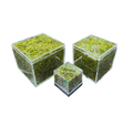 WHOLESALE - BryoBrick Premium Compressed Moss Mix