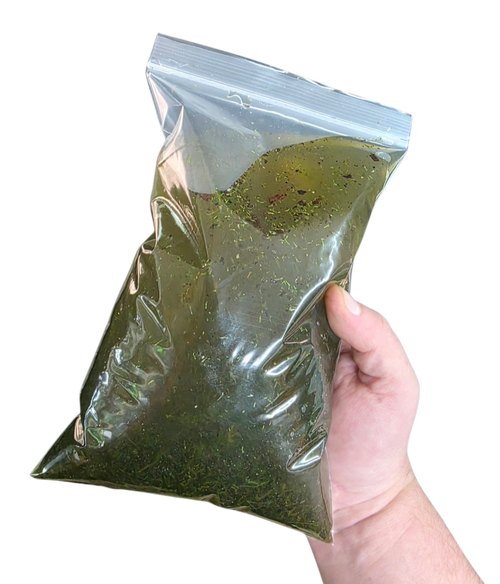 BryoBrick - Premium Compressed Moss Mix